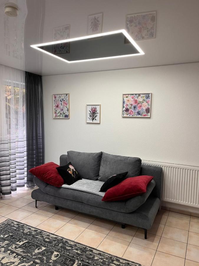 A&D Charmantes Apartment - Buehlertal Bei Buehl, Baden-Baden & Schwarzwald ภายนอก รูปภาพ
